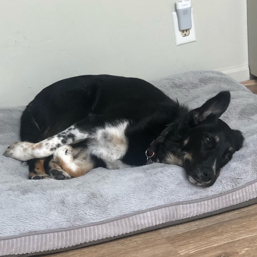 Meet your Posher, Jude